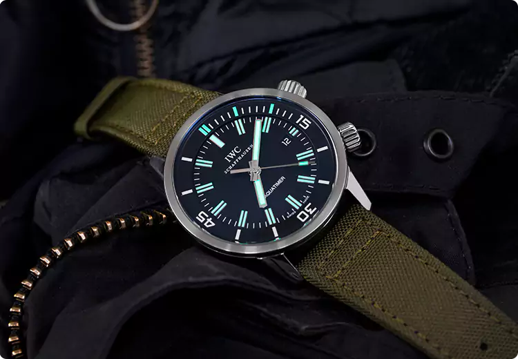 Professional Watch Appraisal in St. Petersburg, FL Professional Watch Appraisal in St. Petersburg, FL